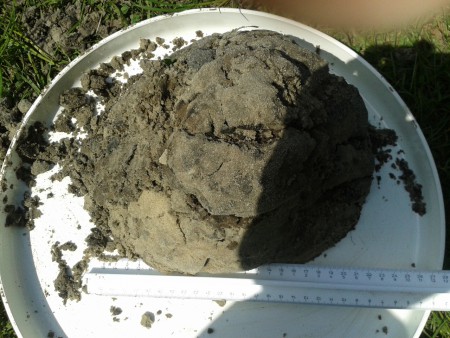 Onze grond met liniaal